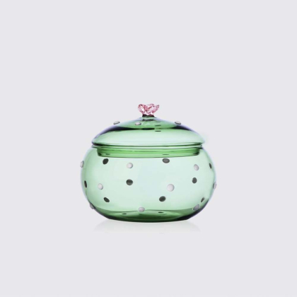 Desert Plants, Container, Green Cactus - Pink Flower