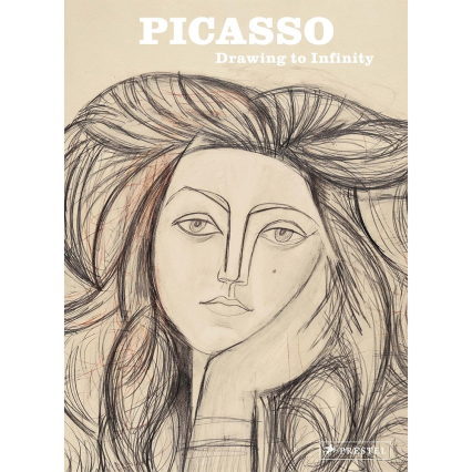 PICASSO - Endlessly Drawing