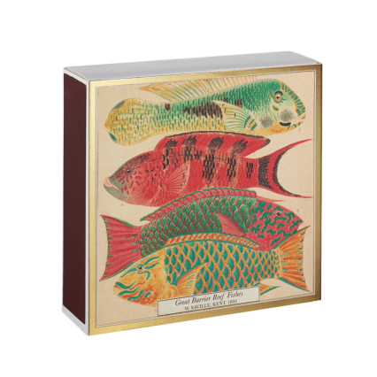 Fish, Square MatchBox, 125 Pcs