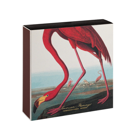 American Flamingo, Square MatchBox, 125 Pcs