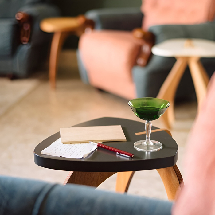 TN-ELEPHANT-LINE-C_4