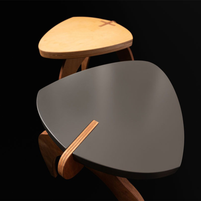 TN-ELEPHANT-LINE-BB_5