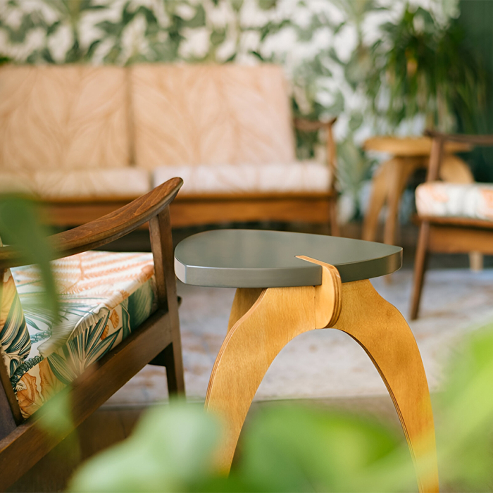 TN-ELEPHANT-LINE-BN_3