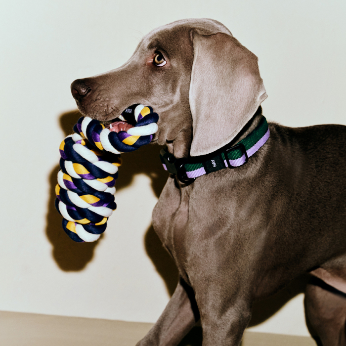 Hay Dogs, Dogs Rope Toy, Blue-Purple-Ochre