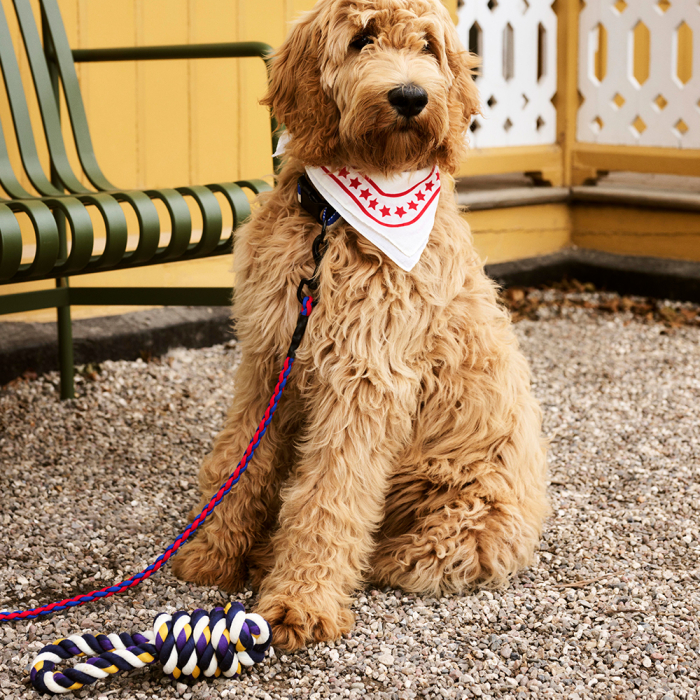 Hay Dogs, Dogs Rope Toy, Blue-Purple-Ochre