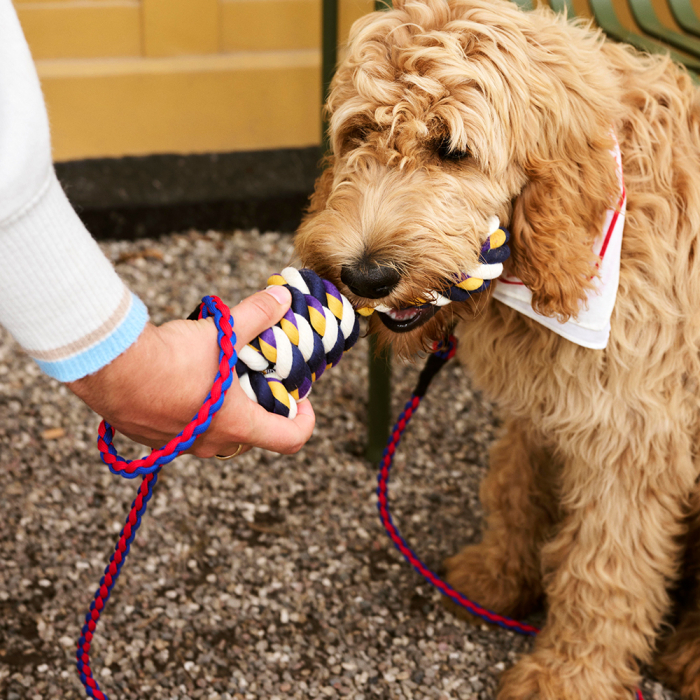 Hay Dogs, Dogs Rope Toy, Blue-Purple-Ochre