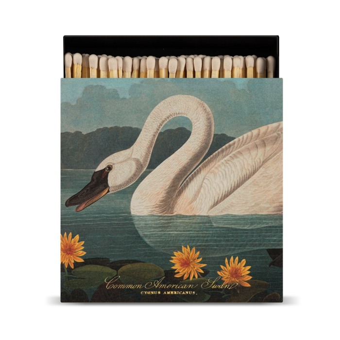 Common American Swan, Square MatchBox, 125 Pcs