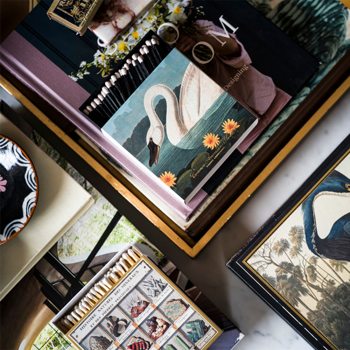 Common American Swan, Square MatchBox, 125 Pcs