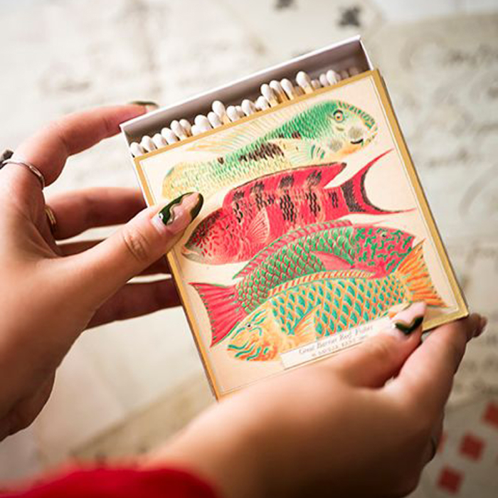 Fish, Square MatchBox, 125 Pcs