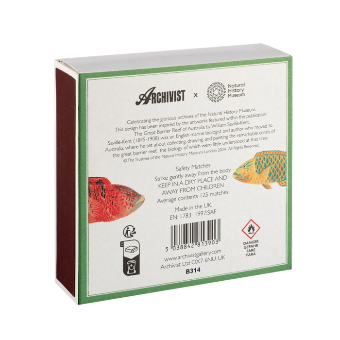 Fish, Square MatchBox, 125 Pcs