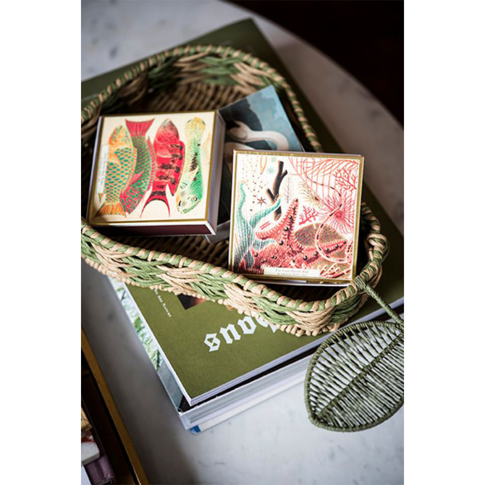 Fish, Square MatchBox, 125 Pcs