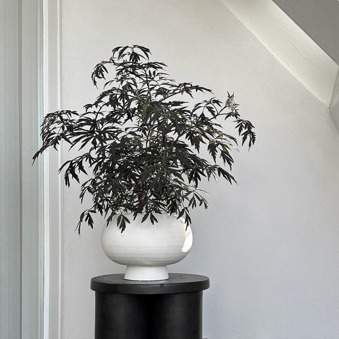 Kabrin, Vase, Fat, Bone White