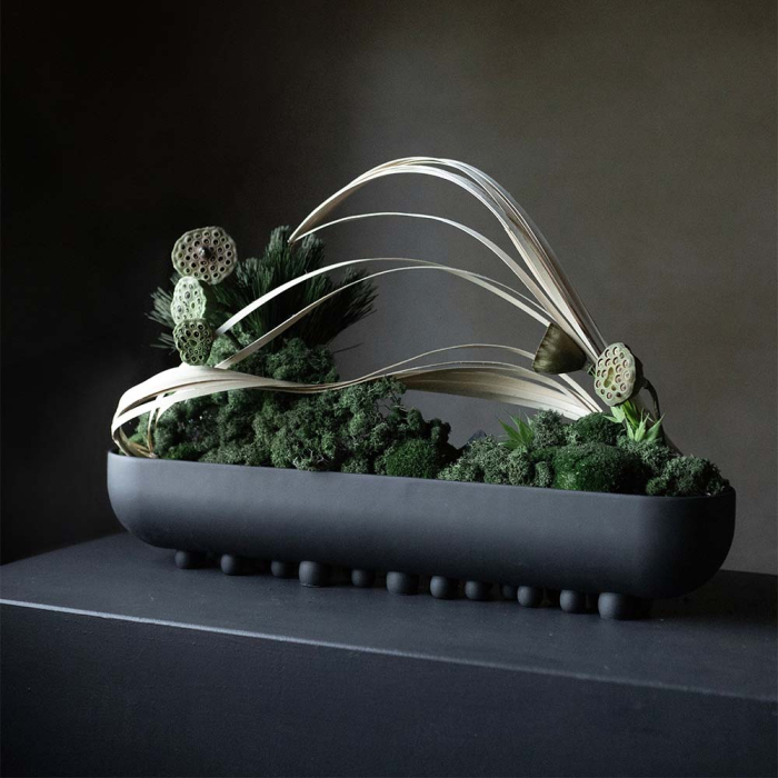 Shinju, Tray, Big, Coffee