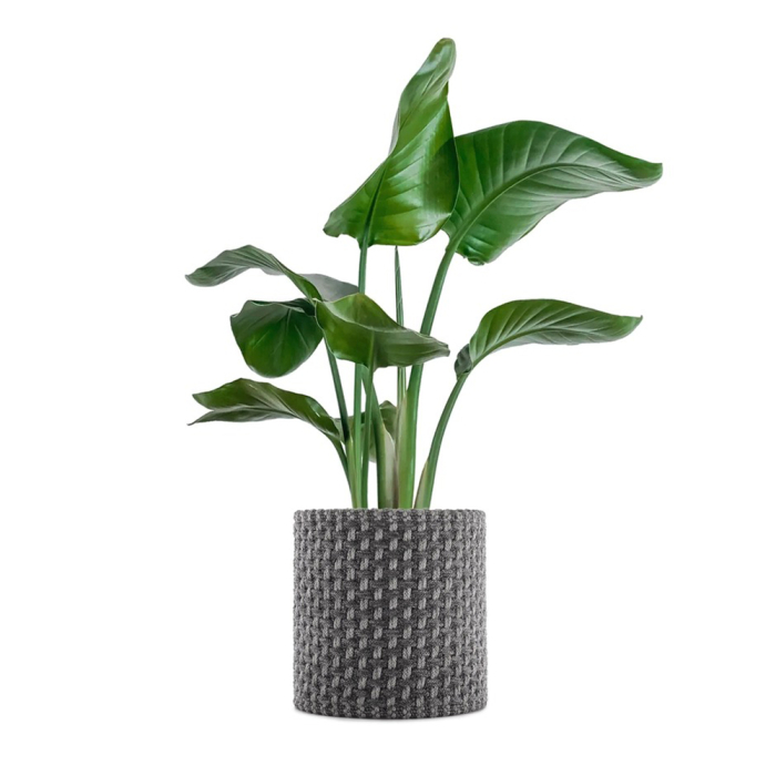 Kleo, Cachepot, Grey, 30 cm