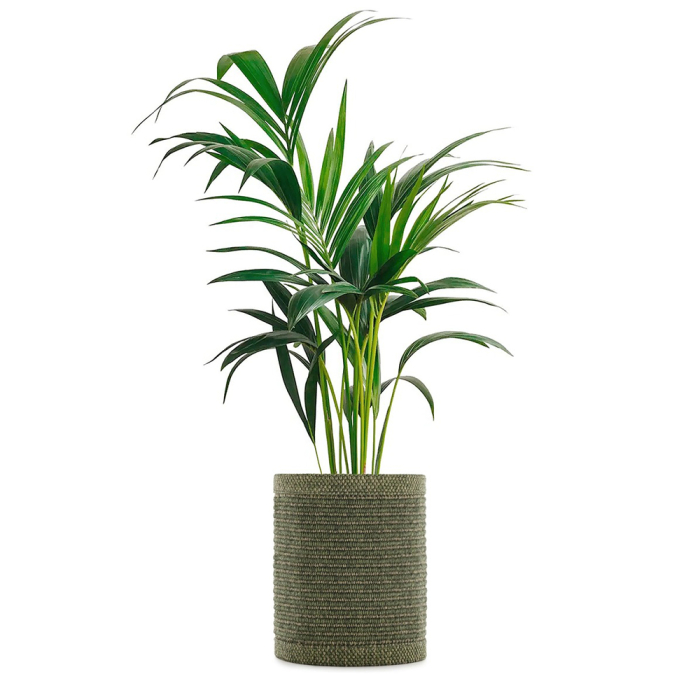 Kleo, Cachepot, Sage, 40 cm