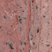 RED TRAVERTINE